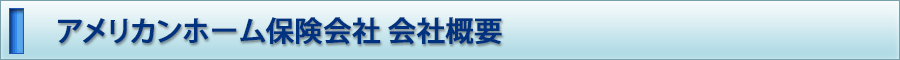 アメリカンホーム保険会社　会社概要